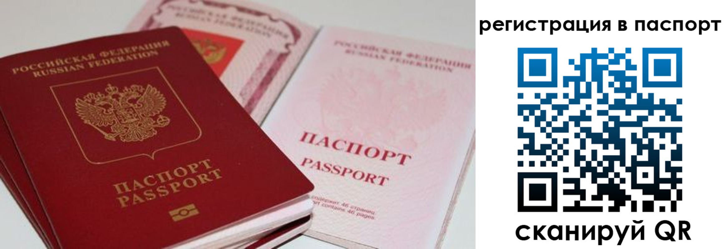 временная регистрация недорого в Камешково